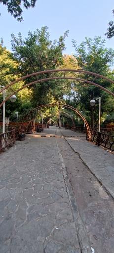 عکس باغ پونه