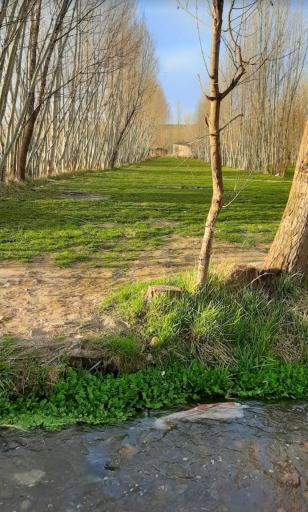 عکس چشمه بولاغلار نیر