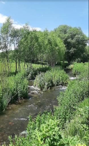 عکس چشمه بولاغلار نیر