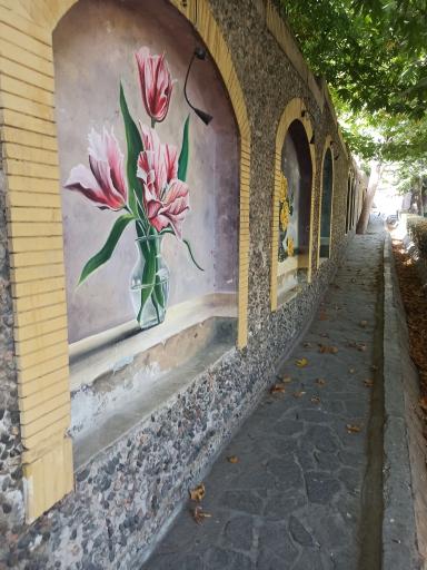 عکس باغ پونه