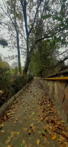 عکس باغ پونه