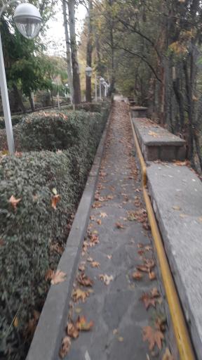 عکس باغ پونه