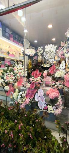 عکس گل بهشت