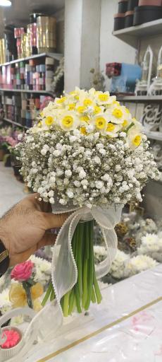 عکس گل بهشت