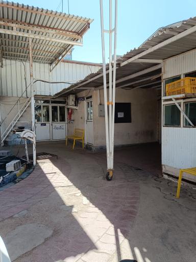 عکس شرکت قارچ مه چین