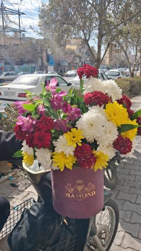 عکس گل فروشی کوروش