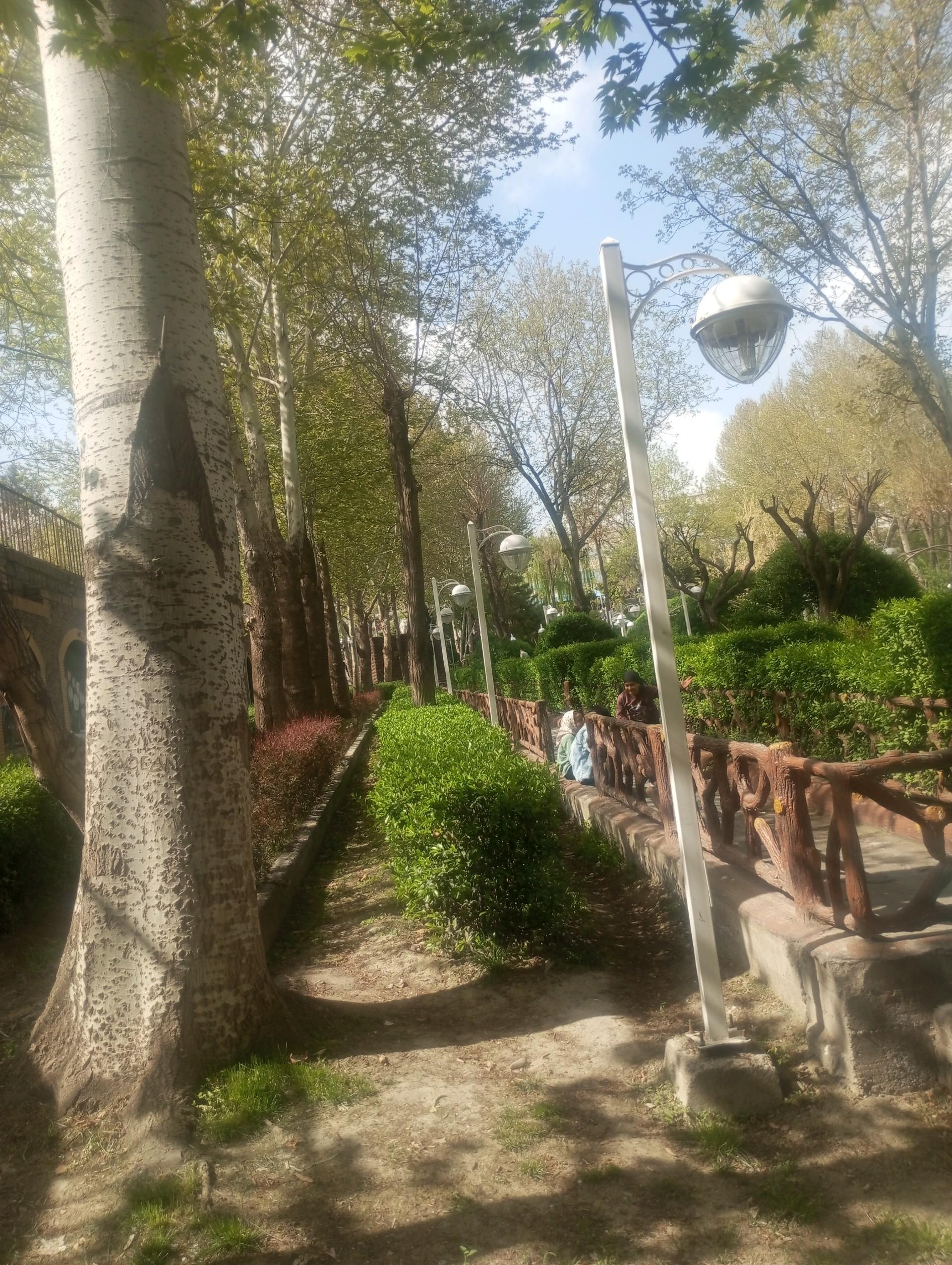 عکس باغ پونه