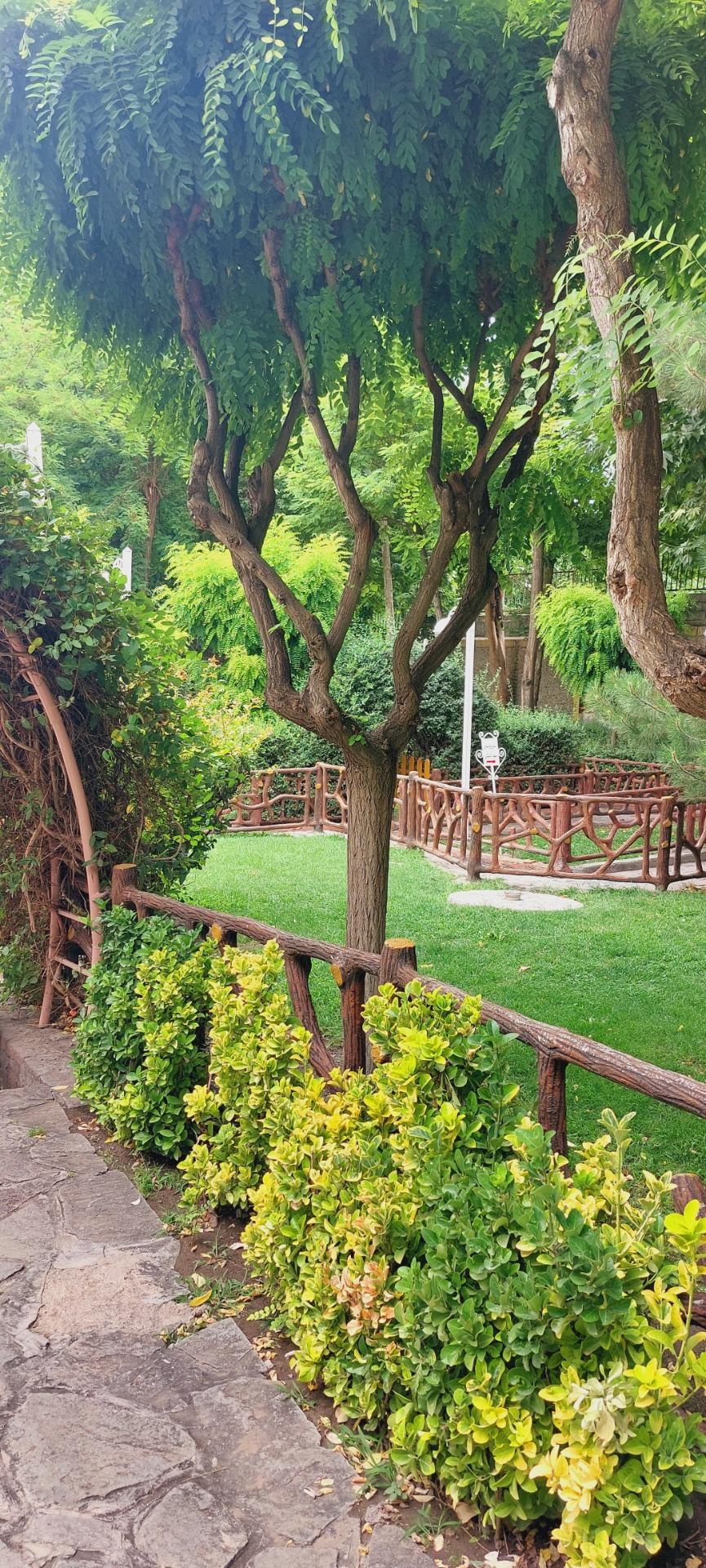 عکس باغ پونه