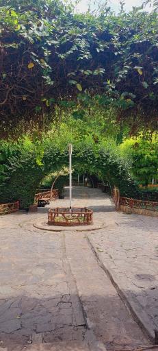 عکس باغ پونه