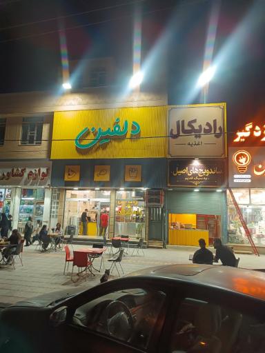 عکس پیتزا دلفین