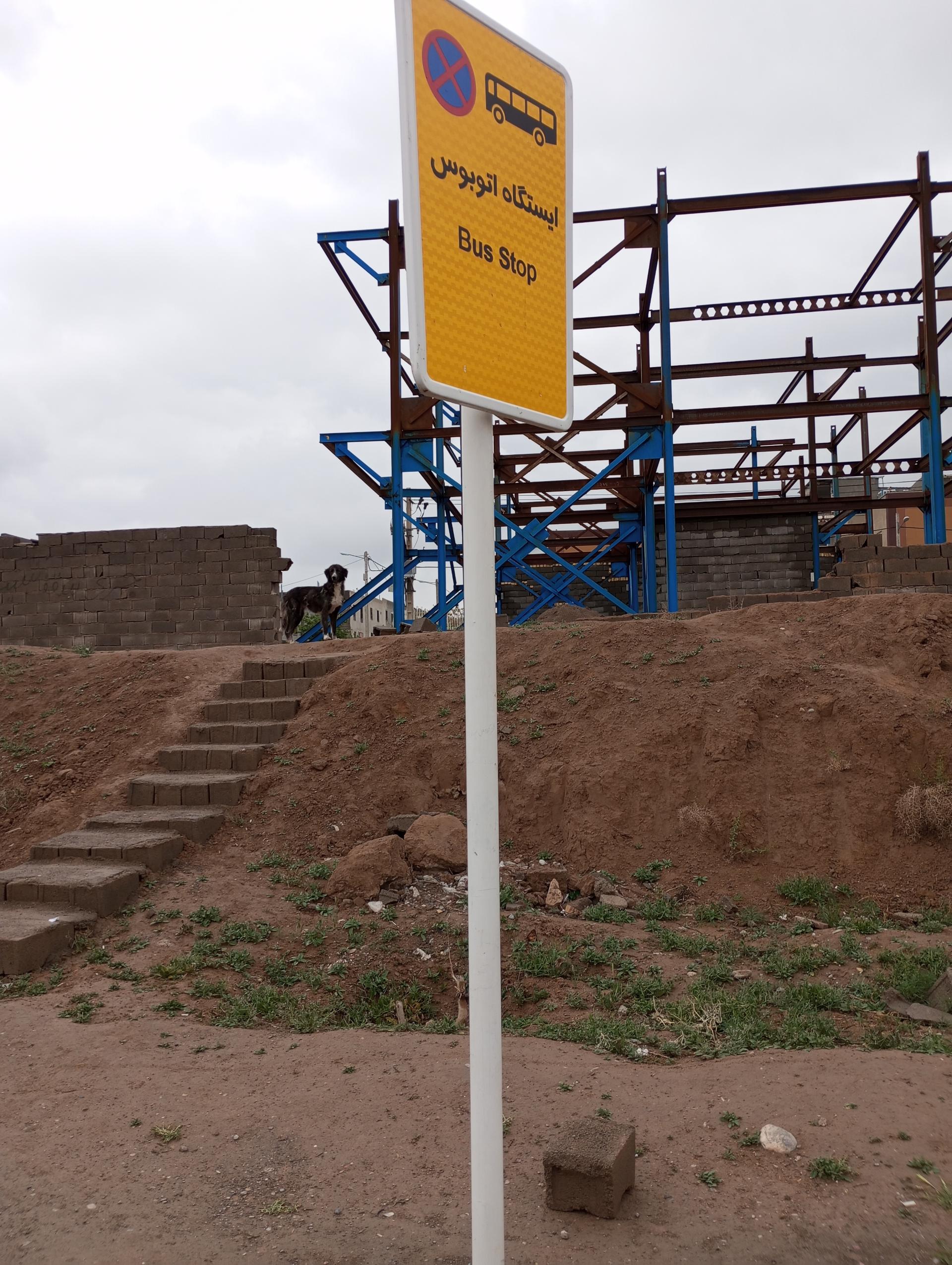 عکس مهرگان ۴۴