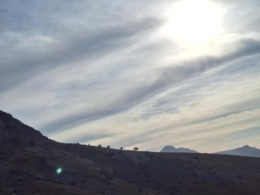 عکس تفرجگاه گل سرخ شهدای مسعودیه