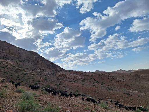 عکس تفرجگاه گل سرخ شهدای مسعودیه