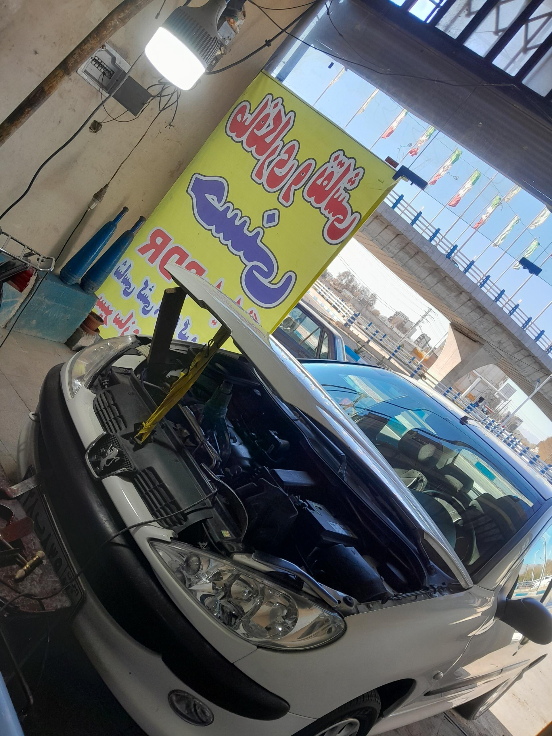 عکس صافکاری و نقاشی حسنی