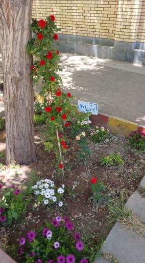 مدرسه دخترانه حسین باقری