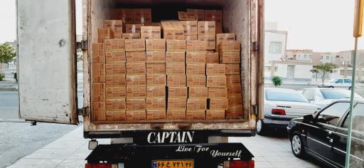 عکس پخش ارغوان