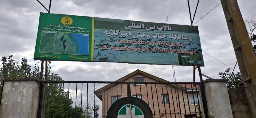 عکس تالاب بین المللی امیر کلایه