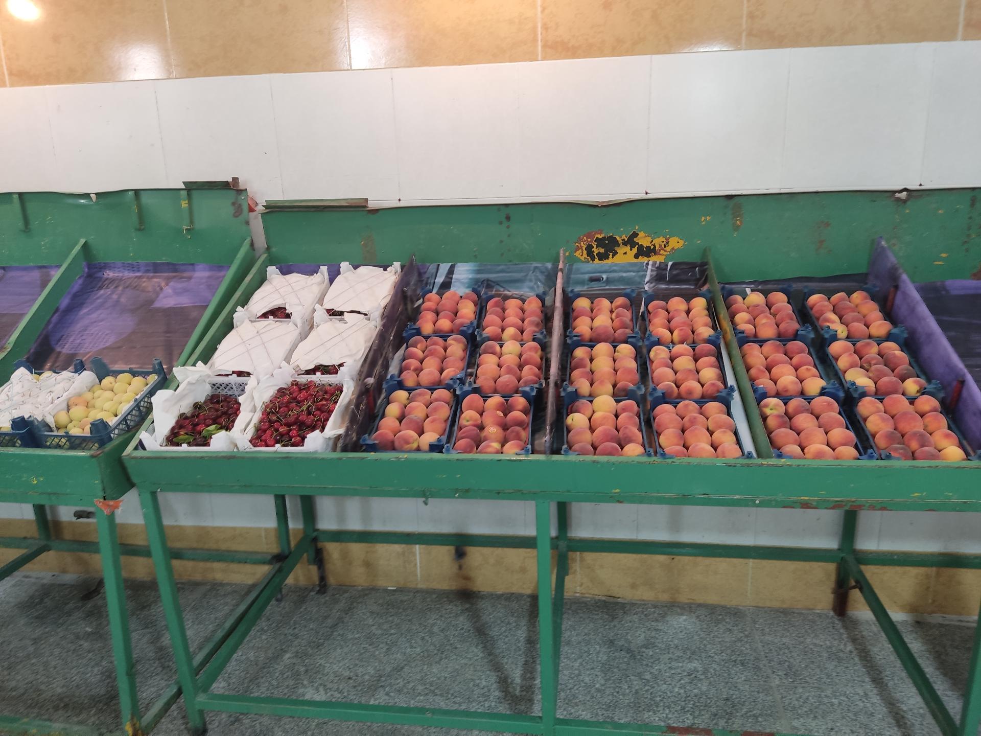 عکس میوه و تره بار نقش جهان