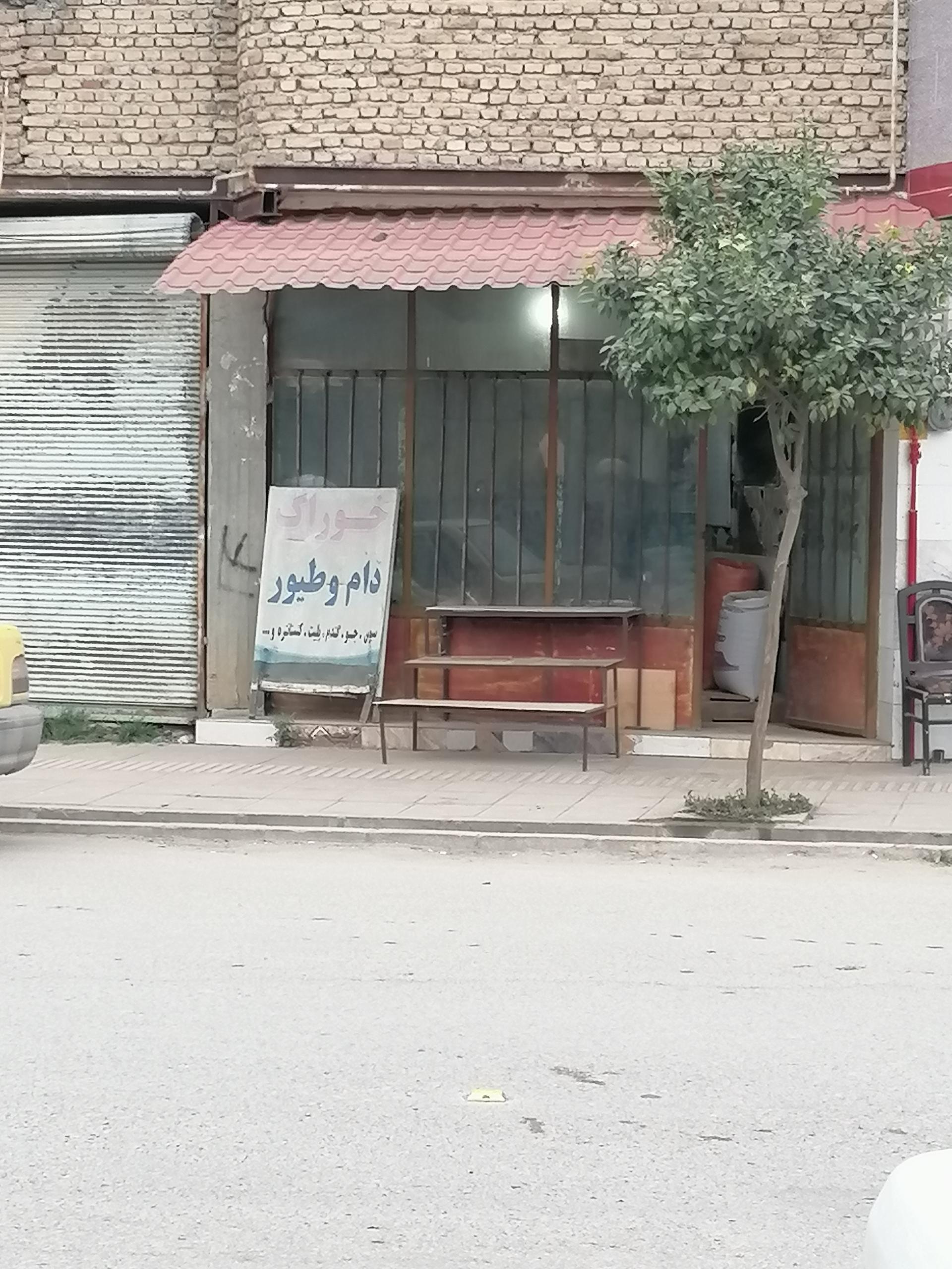 عکس خوراک دام وطیور