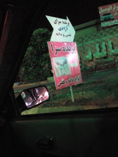 پرنده سرا فروش پرنده