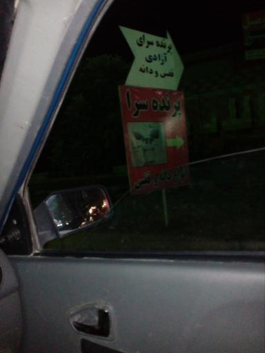 عکس پرنده سرا فروش پرنده