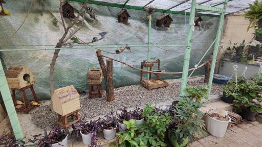 عکس موسسه روانشناسی آرامشکده نسیم همدلی