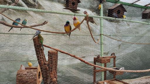 عکس موسسه روانشناسی آرامشکده نسیم همدلی