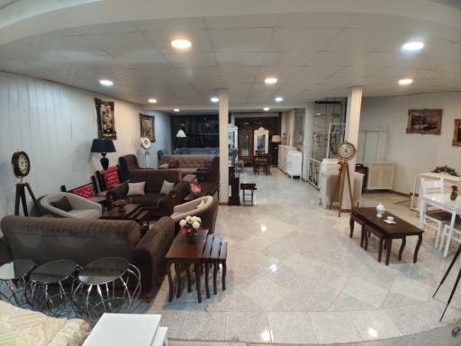 عکس فروشگاه مبل و لوازم منزل دانا