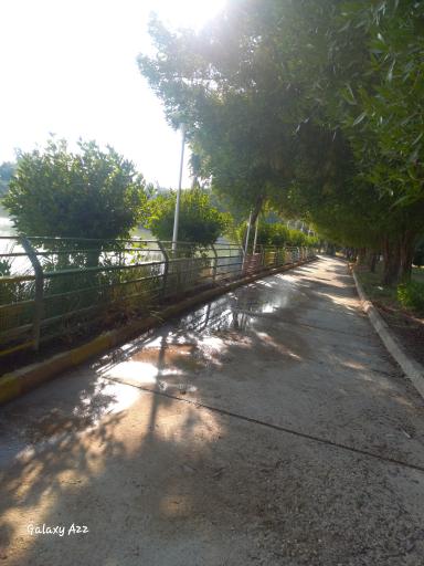 عکس پارک ارم جراحی