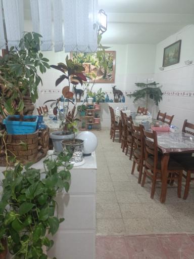 عکس رستوران نگین شاهنجرین