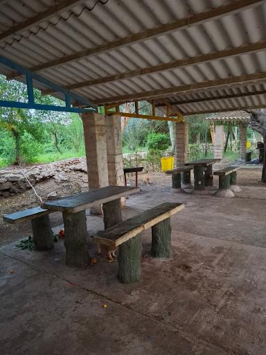 عکس پارک ارم جراحی