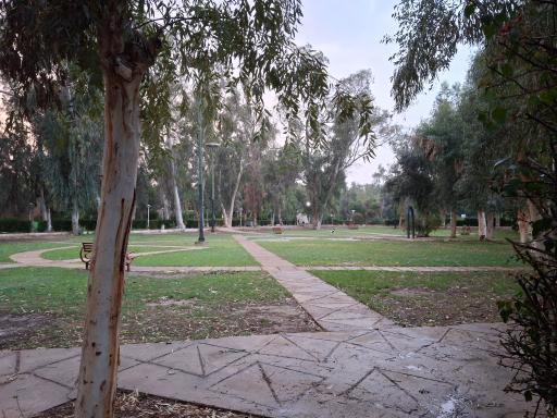 عکس پارک ارم جراحی