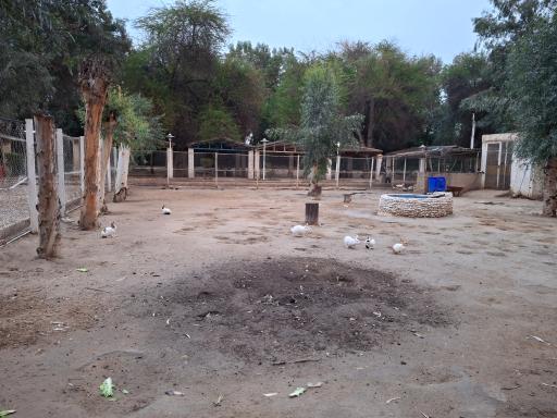 عکس پارک ارم جراحی