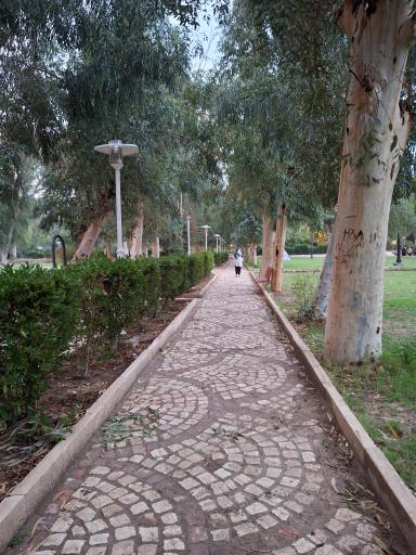 عکس پارک ارم جراحی