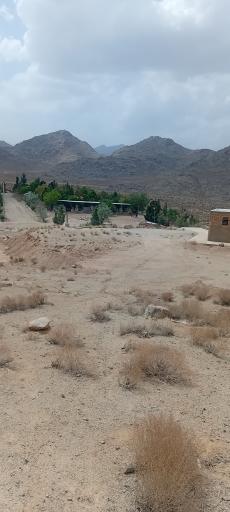 عکس سانیج