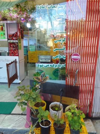 عکس سبزیجات آماده آلوئک