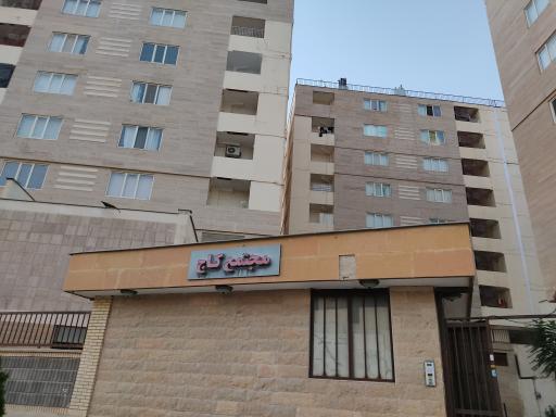 عکس مجتمع کاج