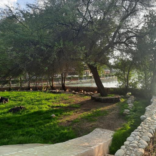 عکس پارک ارم جراحی