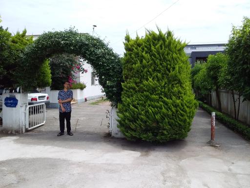 عکس مجتمع مسکونی دهکده ساحلی