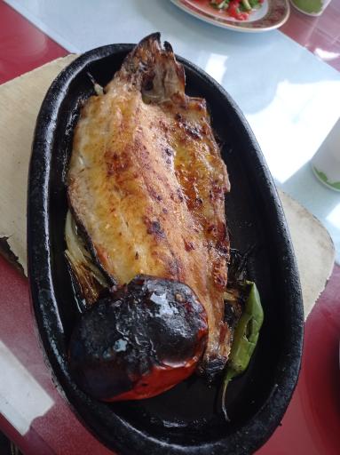 عکس رستوران ترکیهای مهر