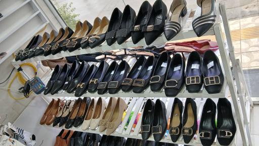 عکس کیف و کفش هزارپا