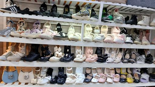 عکس کیف و کفش هزارپا