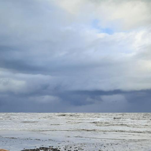 ساحل نقره ای