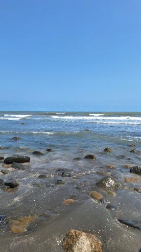 ساحل نقره ای