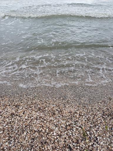 عکس ساحل نقره ای