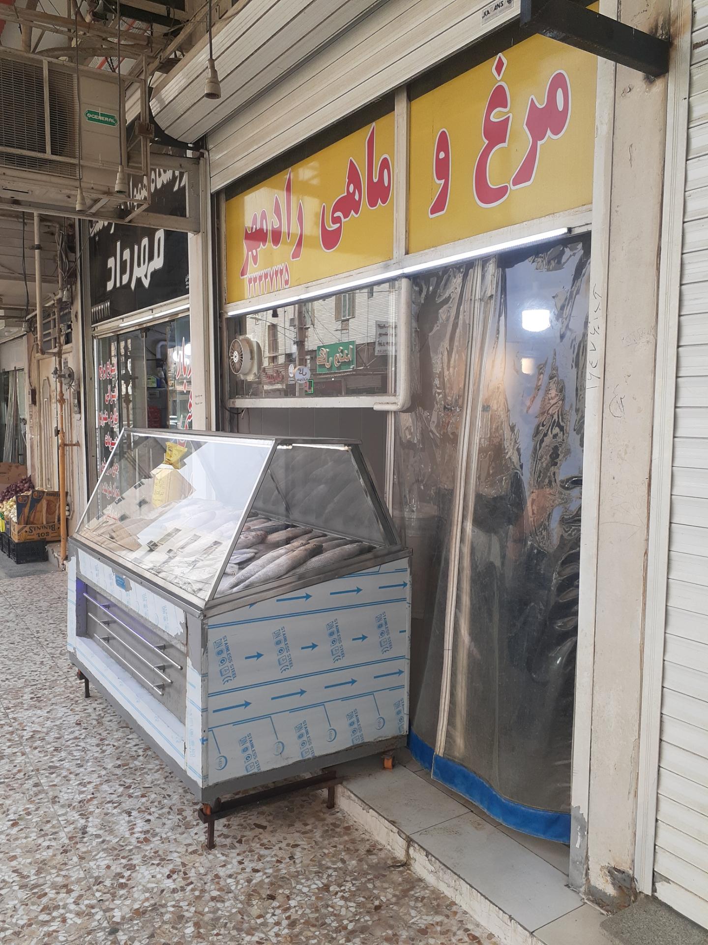 عکس مرغ و ماهی رادمهر