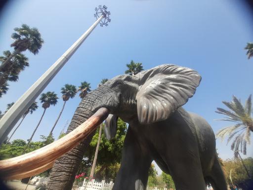 عکس باغ وحش مصنوعی ساوانا