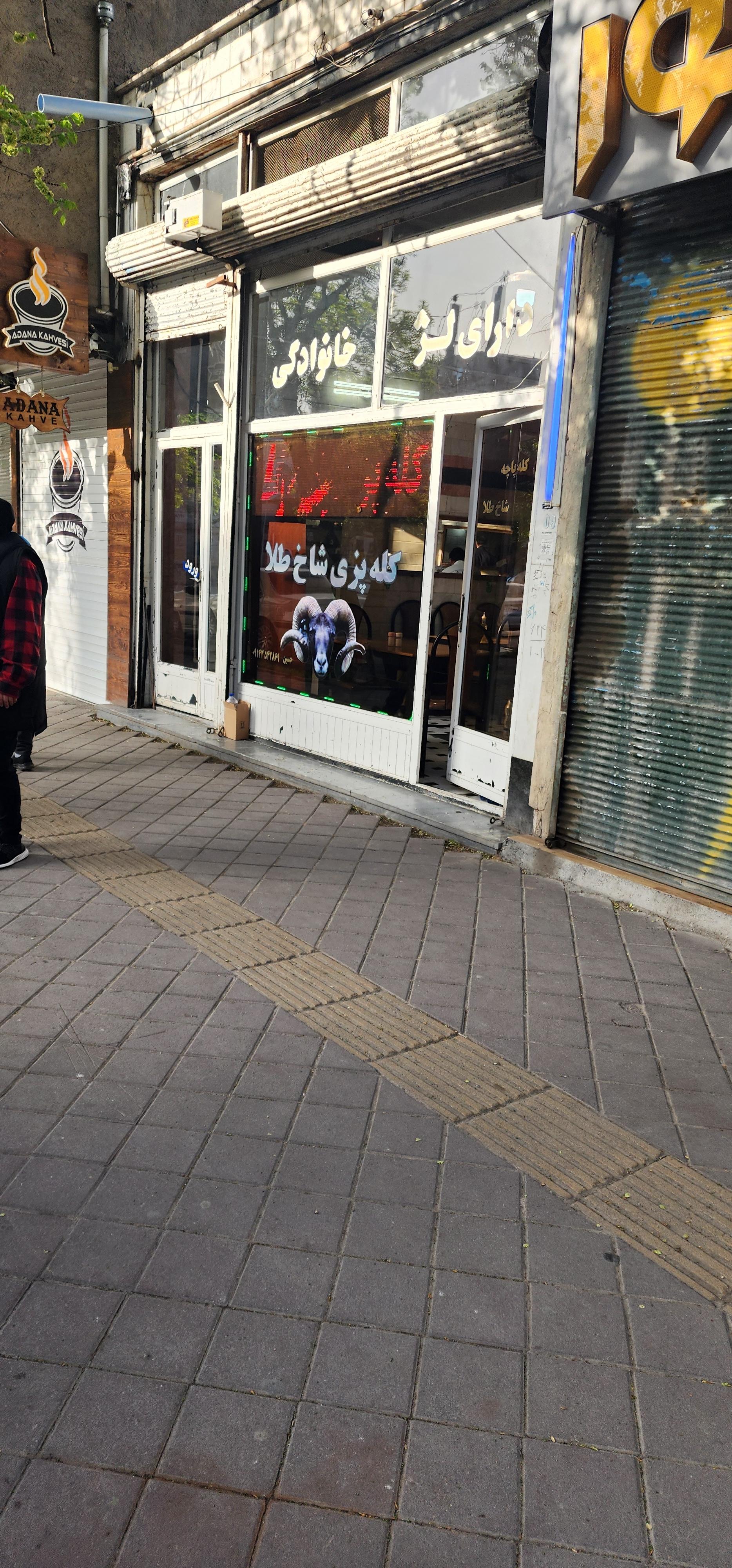 عکس کله پاچه شاخ طلا