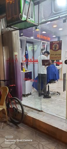 عکس سلمونی آریایی