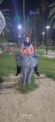 عکس باغ وحش مصنوعی ساوانا